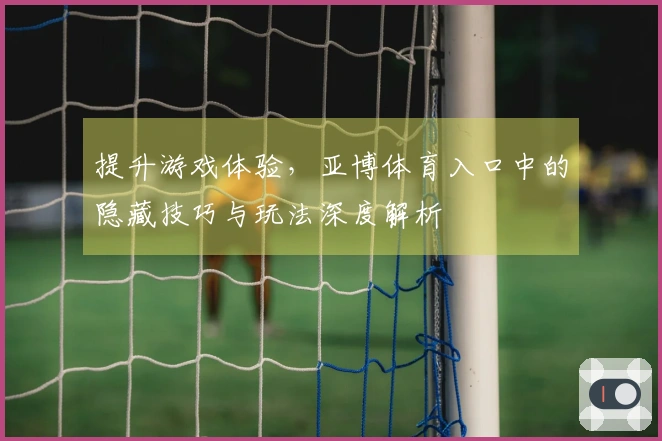 提升游戏体验，亚博体育入口中的隐藏技巧与玩法深度解析