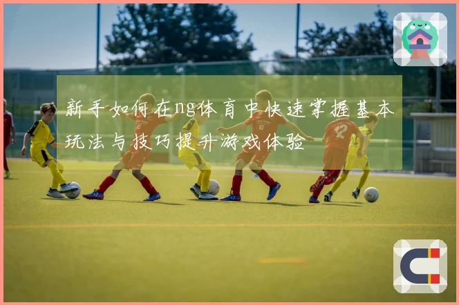新手如何在ng体育中快速掌握基本玩法与技巧提升游戏体验
